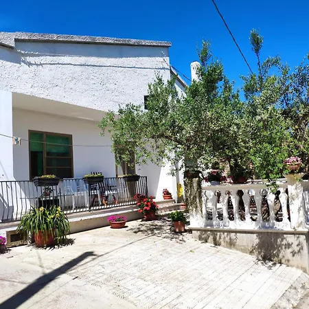 L'ulivo * Rocca San Giovanni