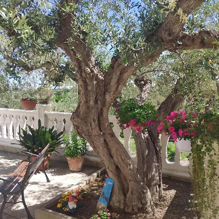 L'ulivo Vakantiehuis