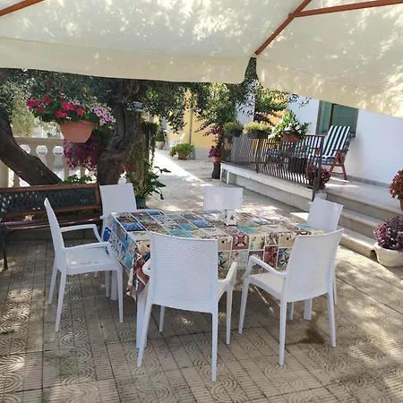 L'ulivo * Rocca San Giovanni