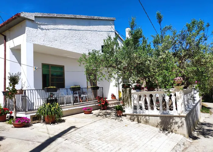 L'ulivo * Rocca San Giovanni