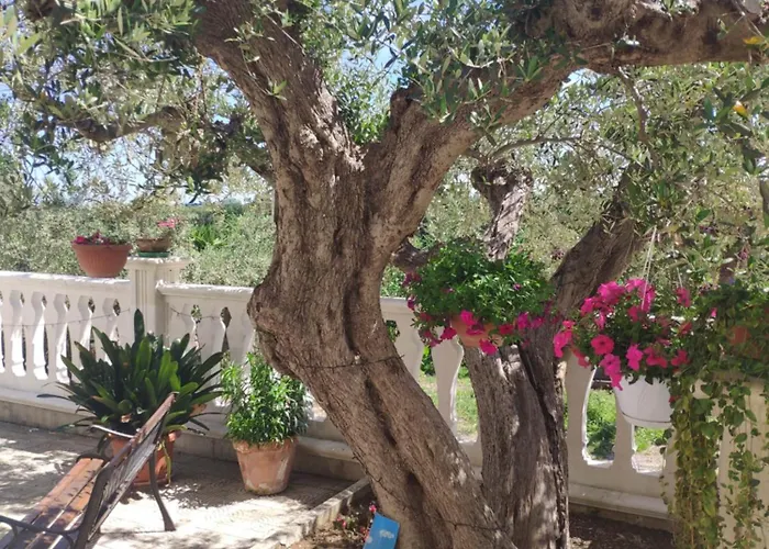 L'ulivo Holiday home