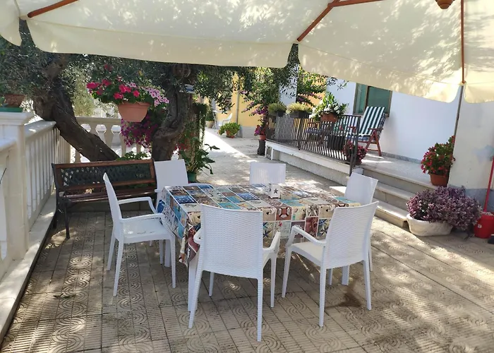 L'ulivo * Rocca San Giovanni